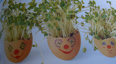 Eggs with faces sprouting cress for hair - a rather cool craft idea!